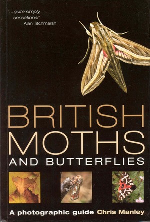 British Moths Book